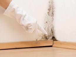 Best Water Damage & Mold Remediation  in North Myrtle Beach, SC